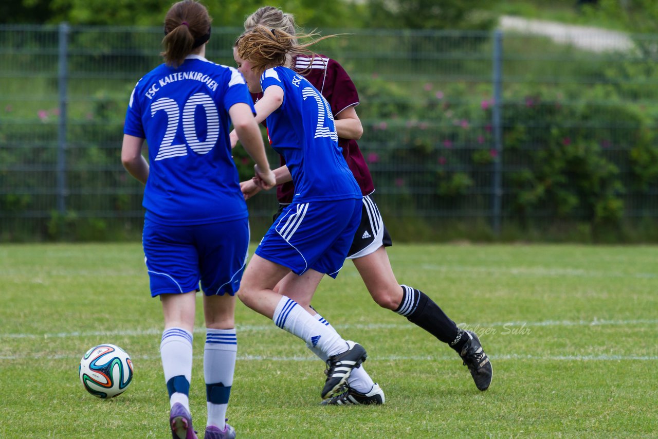 Bild 172 - Frauen FSC Kaltenkirchen : SG Wilstermarsch : Ergebnis: 1:1